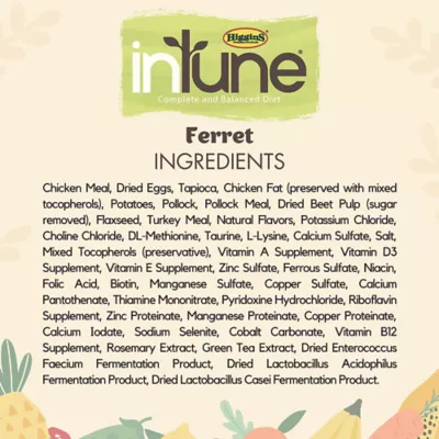 Product Higgins Intune Complete and Balanced Diet for Ferrets - Grain Free 4 Lb