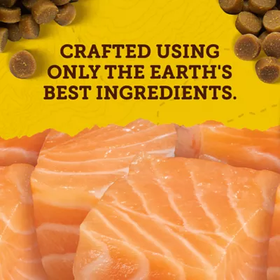 Product Zuke's Mini Naturals Tender Bites Dog Treats - Salmon Recipe