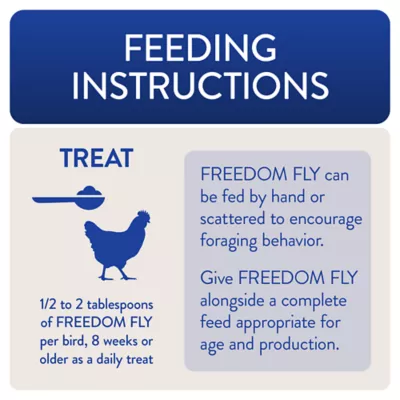 Product FlockLeader Black Soldier Fly Larvae