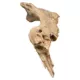 Product Penn-Plax Driftwood Aquarium Ornament