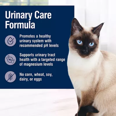 Product Blue Buffalo Cat - Adult, Wet Food, True Solutions, Urinary Care, Chicken, 3 OZ