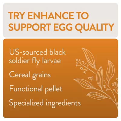 Product FlockLeader FUNctional Treats - Enhance