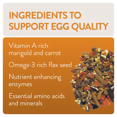 Product FlockLeader FUNctional Treats - Enhance