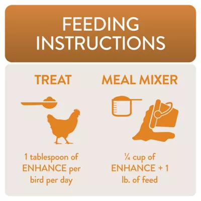 Product FlockLeader FUNctional Treats - Enhance