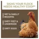 Product FlockLeader Healthy Coop Litter Additive