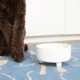 Product Waggo Ceramic Uplift Pet Bowl