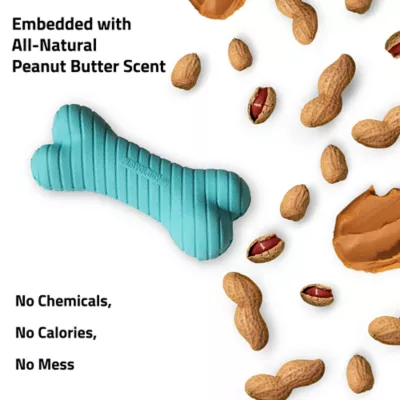 Product Playology Dual Layer Bone Peanut Butter Scent Chew Dog Toy
