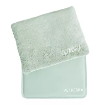 Product Vetreska Bubble Pet Carrier - Green & Clear