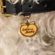 Product Two Tails Pet Company - Cutie with a Booty Personalized Pet ID Tag