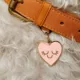 Product Two Tails Pet Company - Smiling Heart Personalized Pet ID Tag