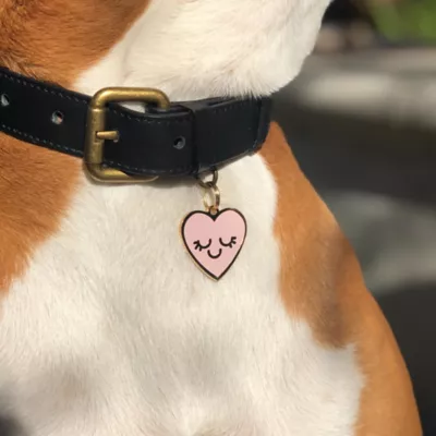 Product Two Tails Pet Company - Smiling Heart Personalized Pet ID Tag