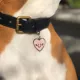 Product Two Tails Pet Company - Smiling Heart Personalized Pet ID Tag