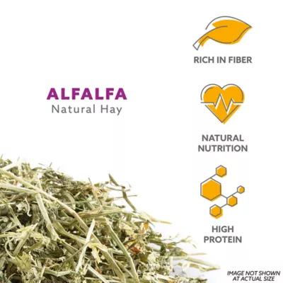 Product Full Cheeks™ Natural Alfalfa Hay
