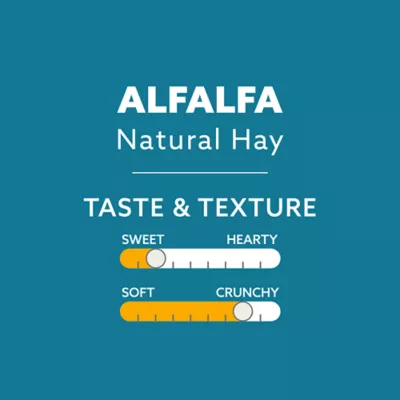 Product Full Cheeks™ Natural Alfalfa Hay