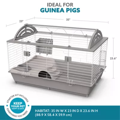 Product Full Cheeks™ Start-Up Dream Home