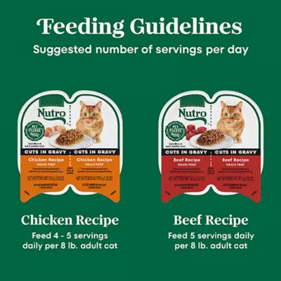 Product Nutro Cat - Wet Food, Cuts in Gravy, Split Cup, Variety Pack, 12 CT, 31.7 OZ