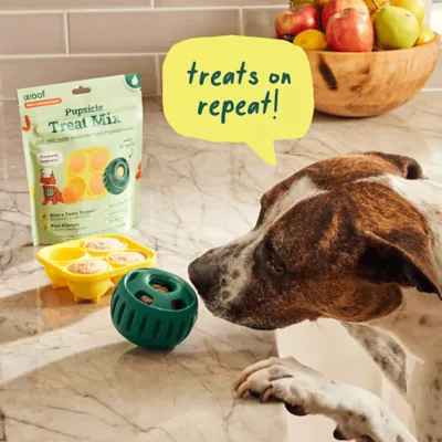 Product WOOF Pupsicle Treat Mix Bacon & Cheese Flavor
