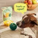 Product WOOF Pupsicle Treat Mix Bacon & Cheese Flavor