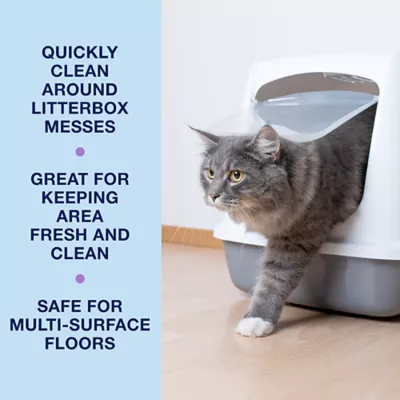 Product Bona® Pet System Multi-Surface Floor Cleaner, Cat Formulation