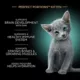 Product Sheba® Kitten Wet Cat Food - Turkey, 1 CT, 2.64 OZ