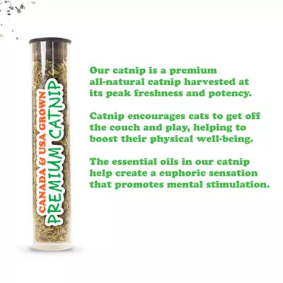 Product Meowijuana® Jump 'n' Jamb Flashy Dragonfly Refillable Catnip Swinging Teaser Cat Toy