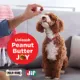 Product Milk-Bone X Jif Peanut Butter Bites Dog Treats 4.5 OZ