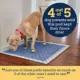 Product Pet Life Unlimited Smart Pads Pro Dog Pads, XL