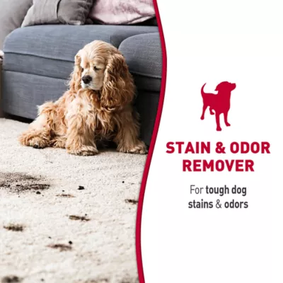Product Nature's Miracle Dog Stain & Odor Remover Foam, 17.5 oz