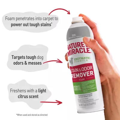 Product Nature's Miracle Dog Stain & Odor Remover Foam, 17.5 oz