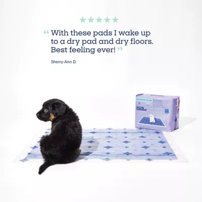 Product Pet Life Unlimited Smart Pads Pro, Overnight, XXL