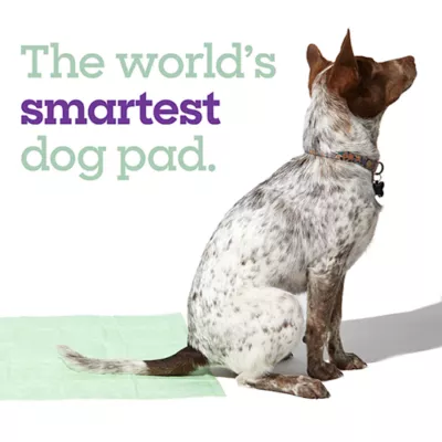 Product Pet Life Unlimited Health Tracker Dogs Pads, Large, 14ct