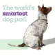 Product Pet Life Unlimited Health Tracker Dogs Pads, Large, 14ct