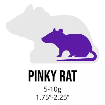 Product Arctic Mice Frozen Pinky Rat
