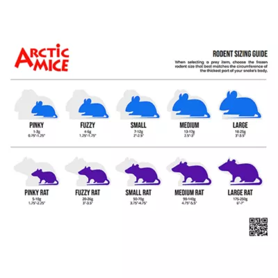 Product Arctic Mice Frozen Pinky Rat