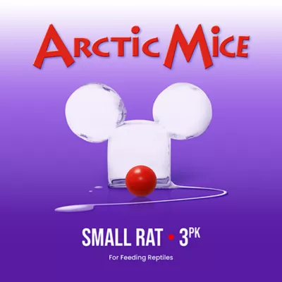 Product Arctic Mice Frozen Small Rats