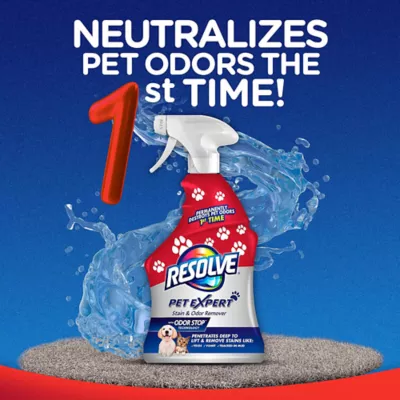Product Resolve, Pet Expert, Stain & Odor 22oz Trigger