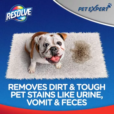 Product Resolve, Pet Expert, Stain & Odor 22oz Trigger