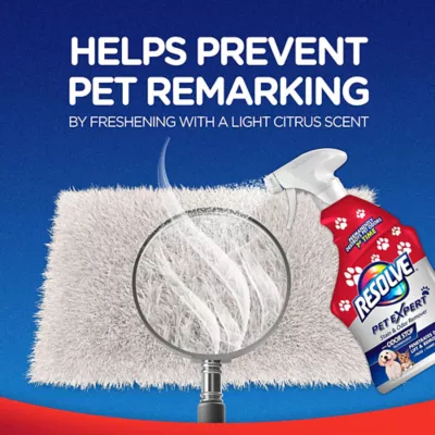 Product Resolve, Pet Expert, Stain & Odor 22oz Trigger