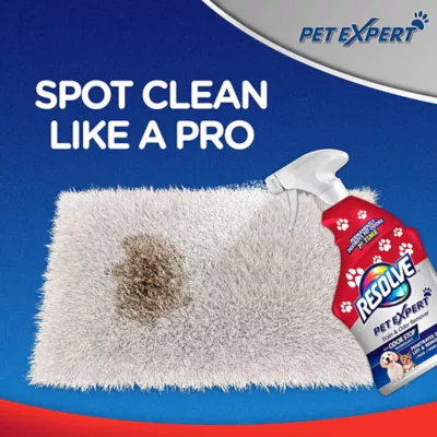 Product Resolve, Pet Expert, Stain & Odor 22oz Trigger