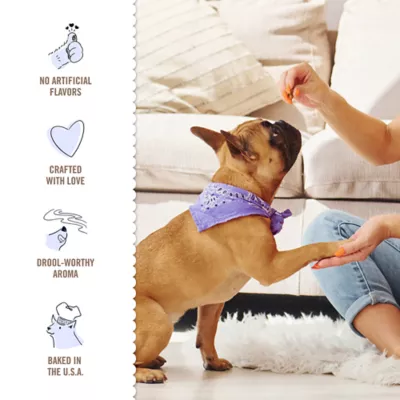 Product Three Dog Bakery Peanut Butter Pet-Zel Bites 24 OZ