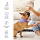 Product Three Dog Bakery Peanut Mutter Bites 18 OZ