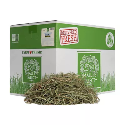Product Small Pet Select 3rd Cut Timothy Hay