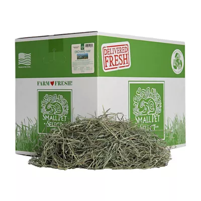 Product Small Pet Select Orchard Hay