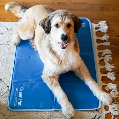 Product The Green Pet Shop Cooling Pet Pad
