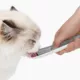 Product Catit Creamy Spoon