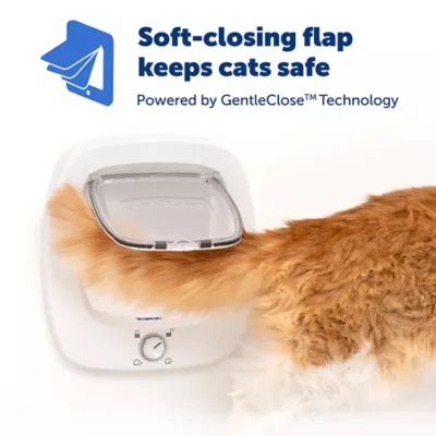 Product PetSafe Big Cat Pet Door