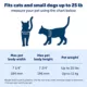 Product PetSafe Big Cat Pet Door
