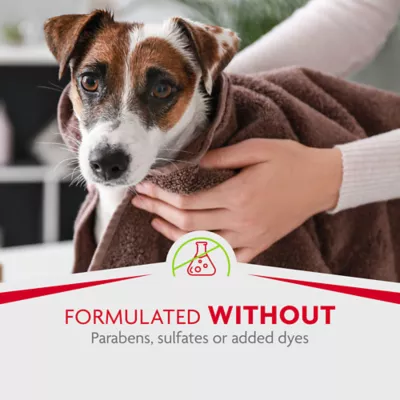 Product FURminator® Tub-Free Deshedding Foam Comb for Dogs, Freshens Coat without Rinsing, 3 oz