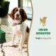 Product Nature's Miracle Dog Urine Remover, 24 oz