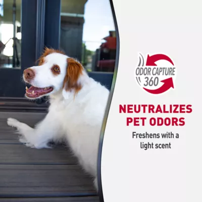 Product Nature's Miracle Advanced  Dog and Cat Stain and Odor Remover Wipes for Hard Surfaces, 30 Count